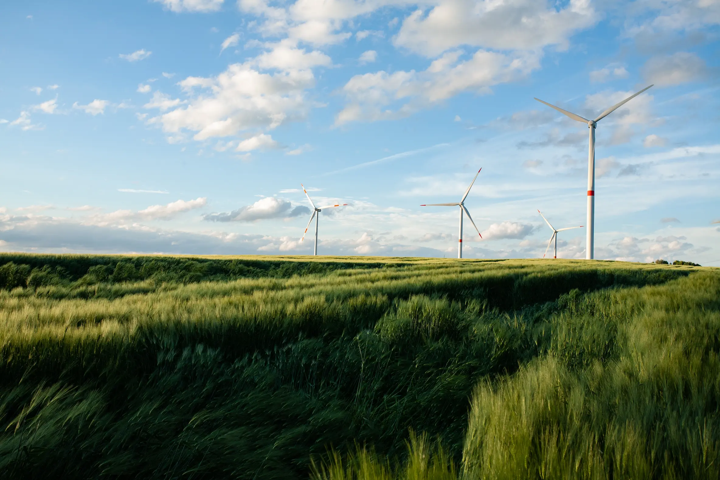 beautiful-grassy-field-with-windmills-distance-blue-sky